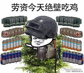 劳资今天绝壁吃鸡（绝地求生）