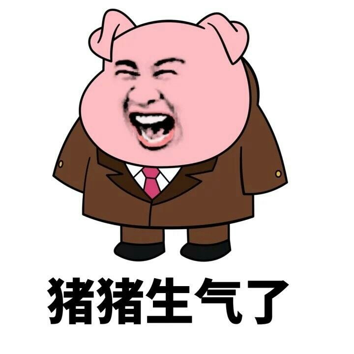 猪猪生气了