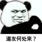 道友何处来?