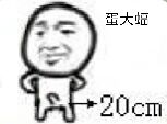 蛋大 2 0 cm