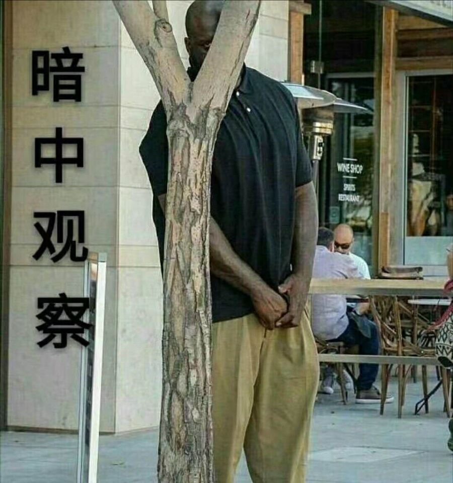 暗中观察