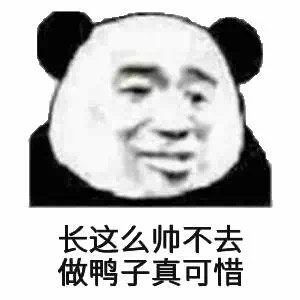 长这么帅不去做鸭子真可惜