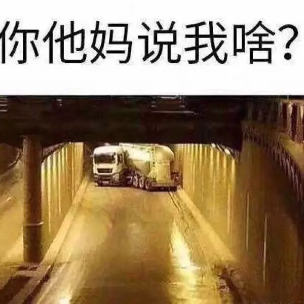 你他妈说我啥?