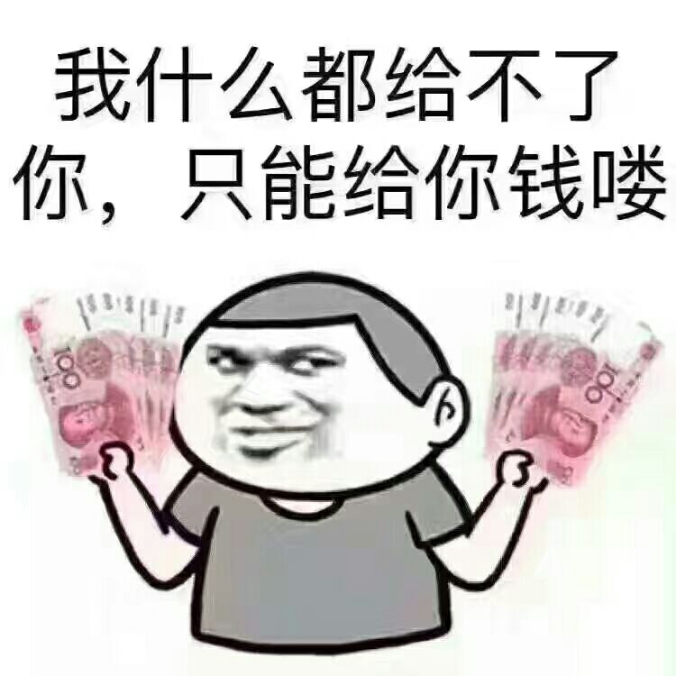 我什么都给不了你,只能给你钱喽