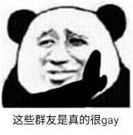 这些群友是真的很gay