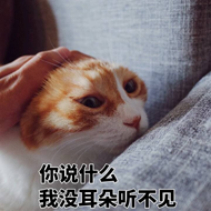 你说什么，我没耳朵听不见