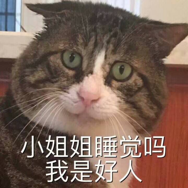 小姐姐睡觉吗？我是好人