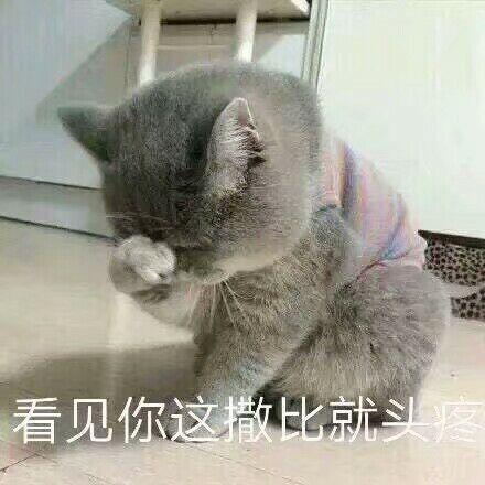 看见你这撒比就头疼