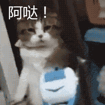 阿哒！（小猫）
