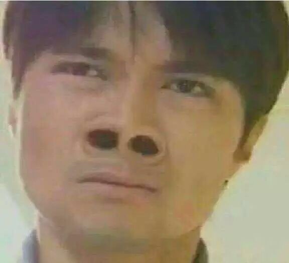大鼻孔