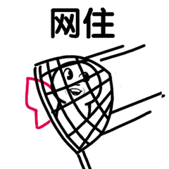 网住