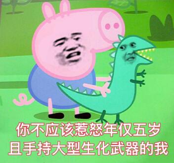 你不应该惹怒年仅五岁且手持大型生化武器的我