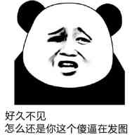 好久不见怎么还是你这个傻逼在发图