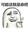 可能这就是命吧