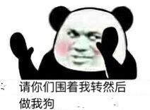 请你们围着我转然后做我狗