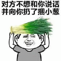 对方不想和你说话并向你扔了捆小葱