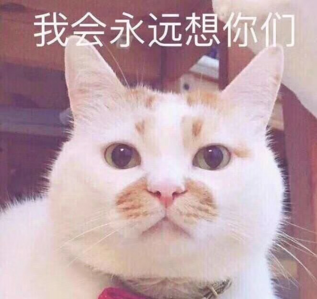 我会永远想你们