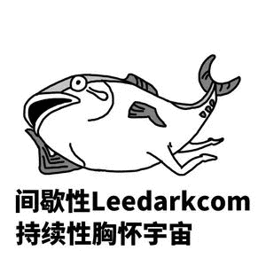 间歇性 Leedarkcon持续性胸怀宇宙