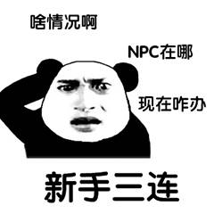 啥情况啊？NPC在哪？现在咋办？（新手三连）