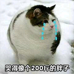 哭得像个200斤的胖子