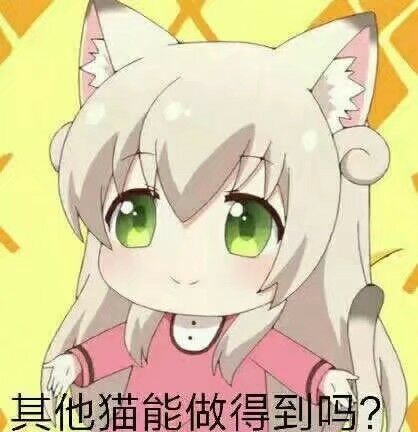 其他猫能做得到吗?