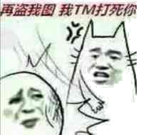 再盗我图我TM死你