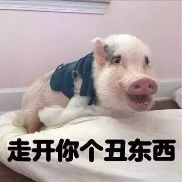 走开你个丑东西