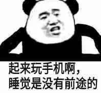 起来玩手机啊,睡觉是没有前途的