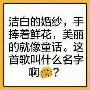 洁白的婚纱,手捧着鲜花,美丽的就像童话。这首歌叫什么名字啊