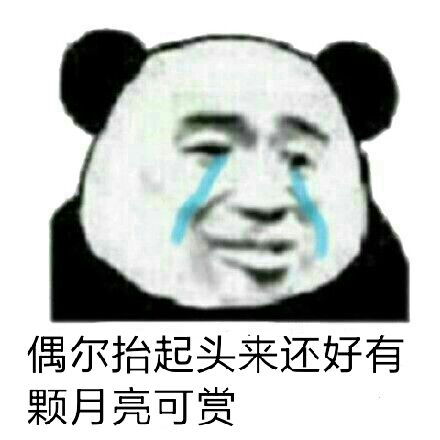 偶尔抬起头来，还好有颗月亮可赏