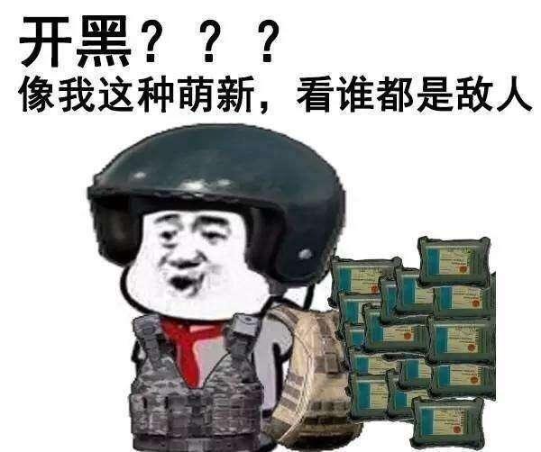 开黑???像我这种萌新,看谁都是敌人。（绝地求生）