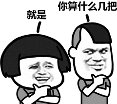 你算什么几把，就是