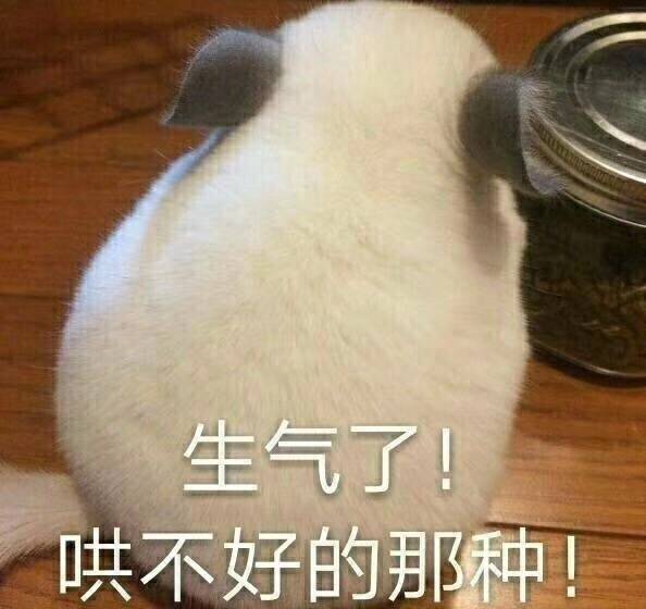 气了哄不好的那种!