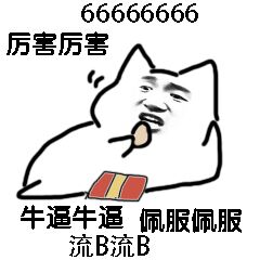 66666666，厉害厉害，牛逼牛逼，佩服佩服，流B流B