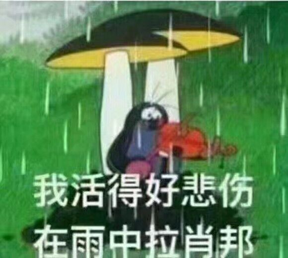 我活得好，悲伤在雨中拉肖邦