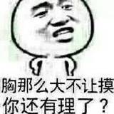 胸那么大，不让摸你还有理了?