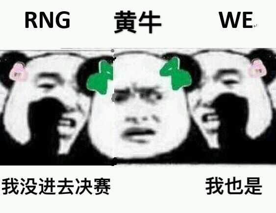 我没进决赛，我也是（RNG、黄牛、WE）