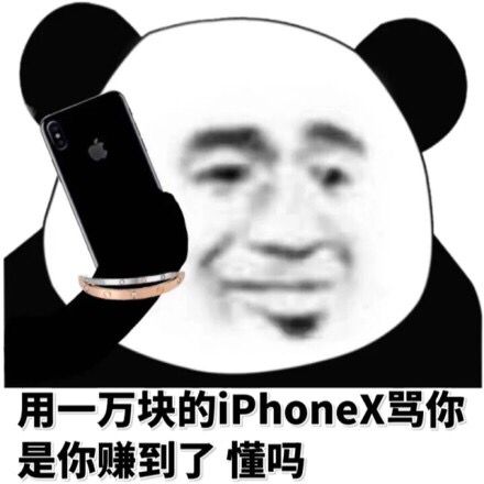 用一万块的 iphoneX骂你是你赚到了懂吗