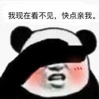 我现在看不见,快点亲我。