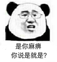 是你麻痹你说是就是?