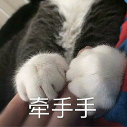 手手（猫手）