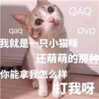 我就是只小猫味还萌萌的那种，你能拿我怎么样，打我呀