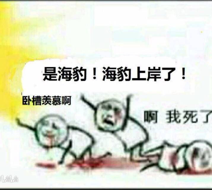 卧槽羡慕啊！是海豹！海豹上岸了！啊，我死了！