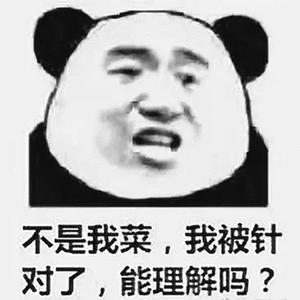 不是我菜,我被针对了,能理解吗?