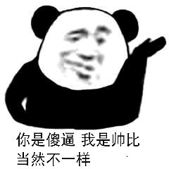 你是傻逼，我是帅比当然不一样