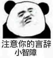 注意你的言辞，小智障