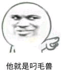 他就是叼毛兽