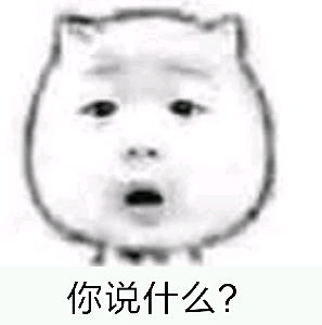 你说什么?