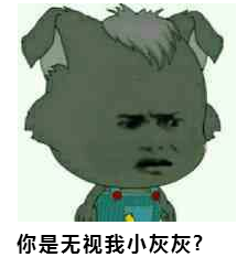 你是无视我小灰灰?