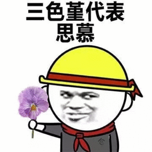 三色堇代表思慕